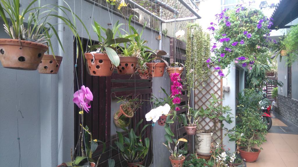 Green Coco Homestay هوي ان المظهر الخارجي الصورة