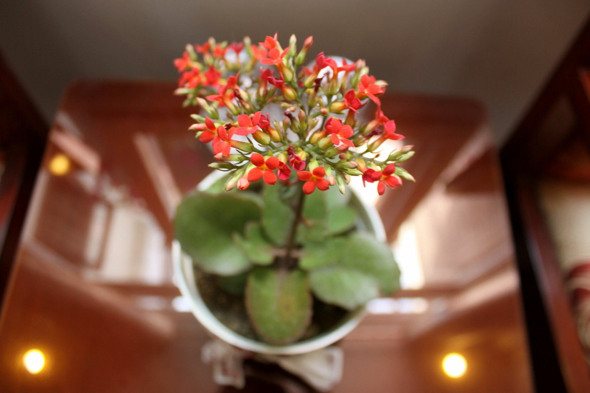 Green Coco Homestay هوي ان المظهر الخارجي الصورة