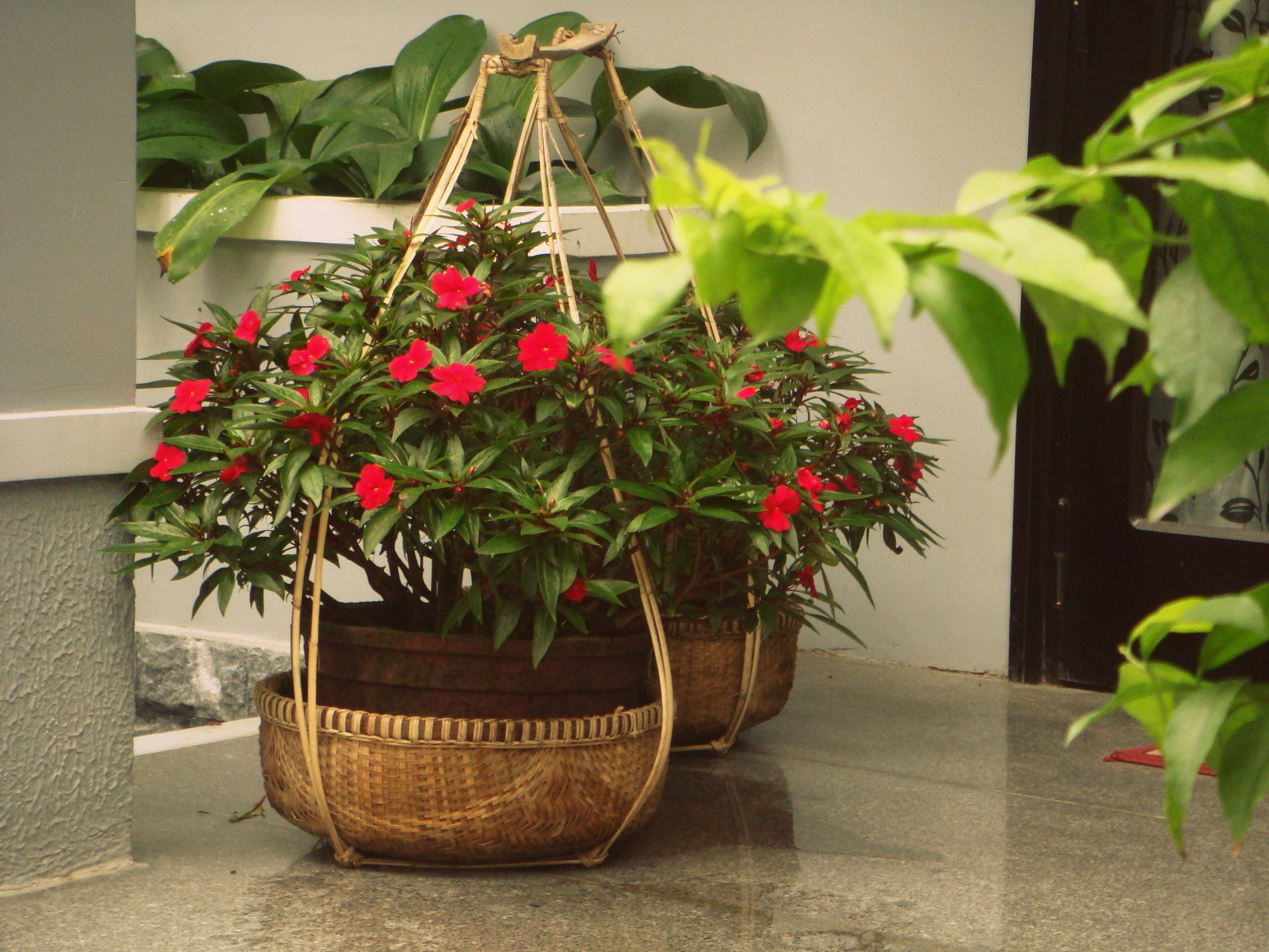 Green Coco Homestay هوي ان المظهر الخارجي الصورة